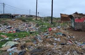 From a Rubbish Dump to a Thriving Community Garden