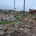 From a Rubbish Dump to a Thriving Community Garden