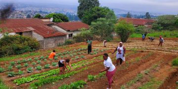 Economic empowerment of young women in the slums positively impacts social norms and strengthens food security